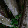 DSC04409