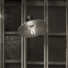 L1051931