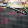 IMG-1051658
