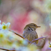 IMG-2324