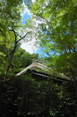 祇王寺