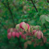 R0011879