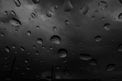 R0011955