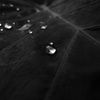 DSC00190
