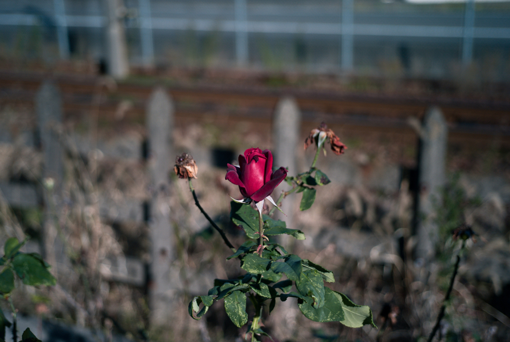 IMG-1051543