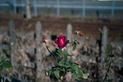 IMG-1051543