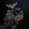 DSC0149