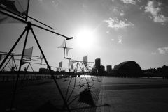 LRG_DSC00595