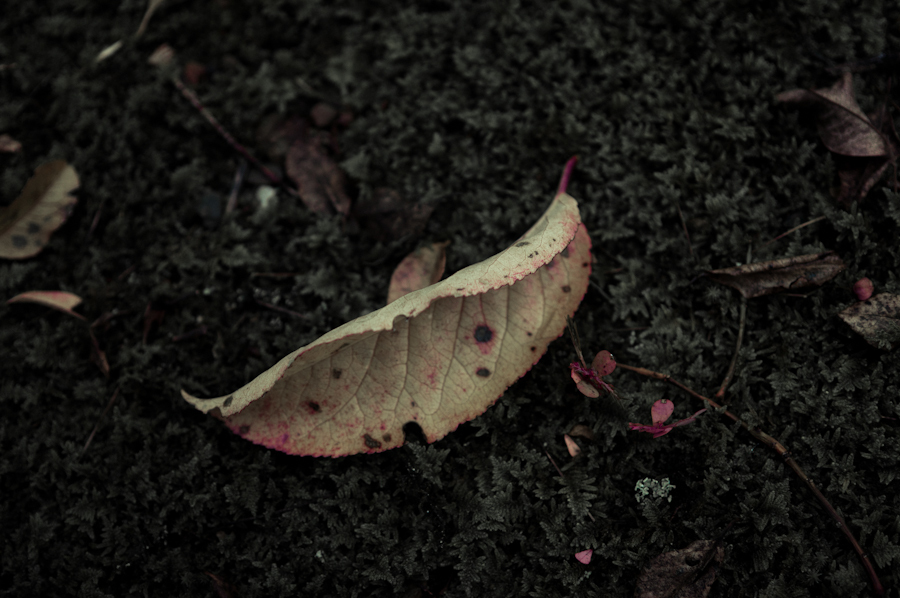 DSC_0401