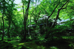 祇王寺１