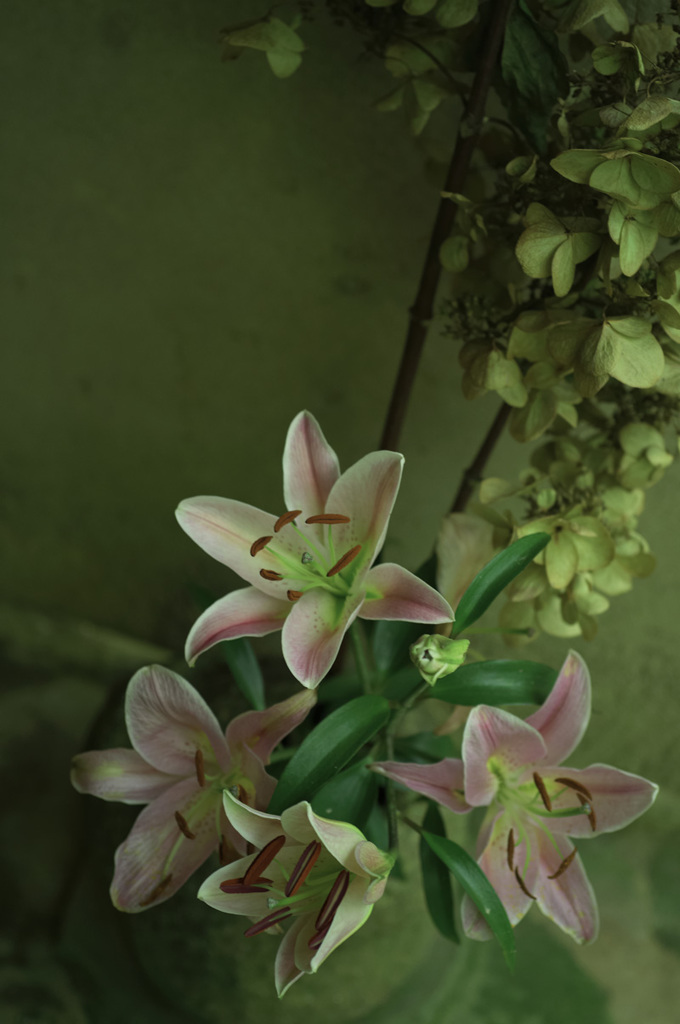 R0011622