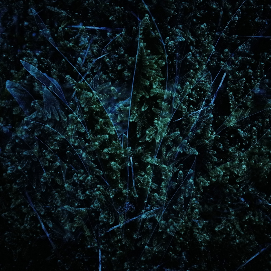 R0010126