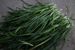 R0010081