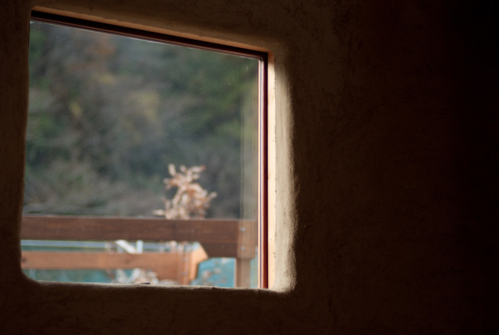 IMG-1051669　　カラー