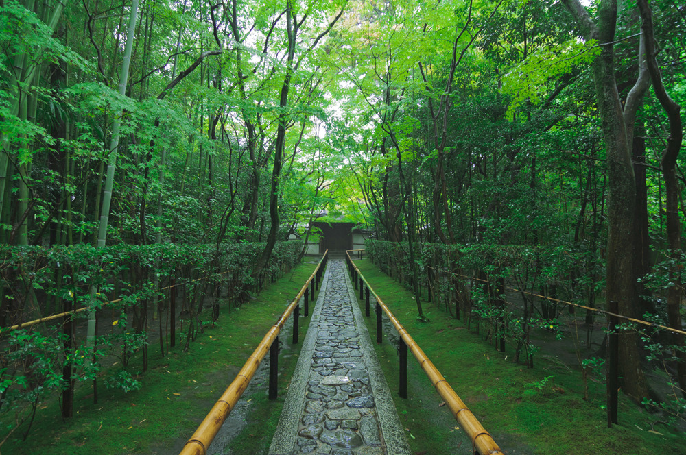 高桐院