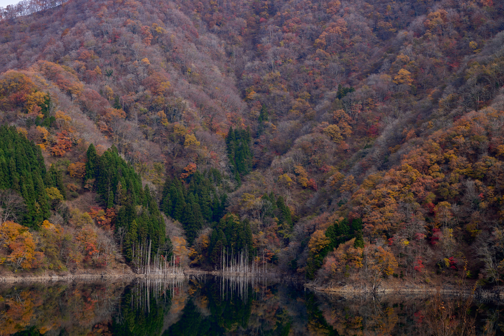 徳山ダム