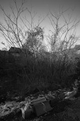 R0010229