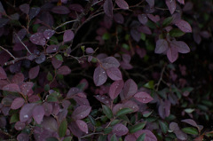 DSC00165