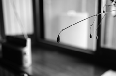 DSC_0087