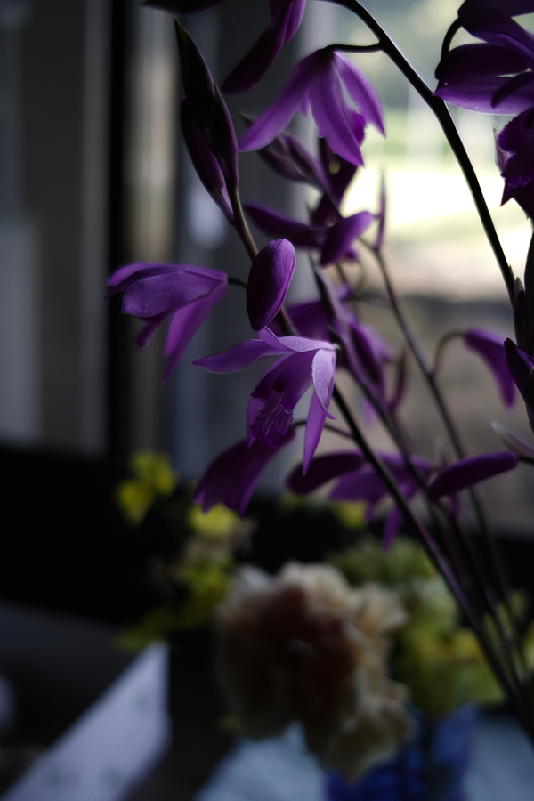 SDIM0084