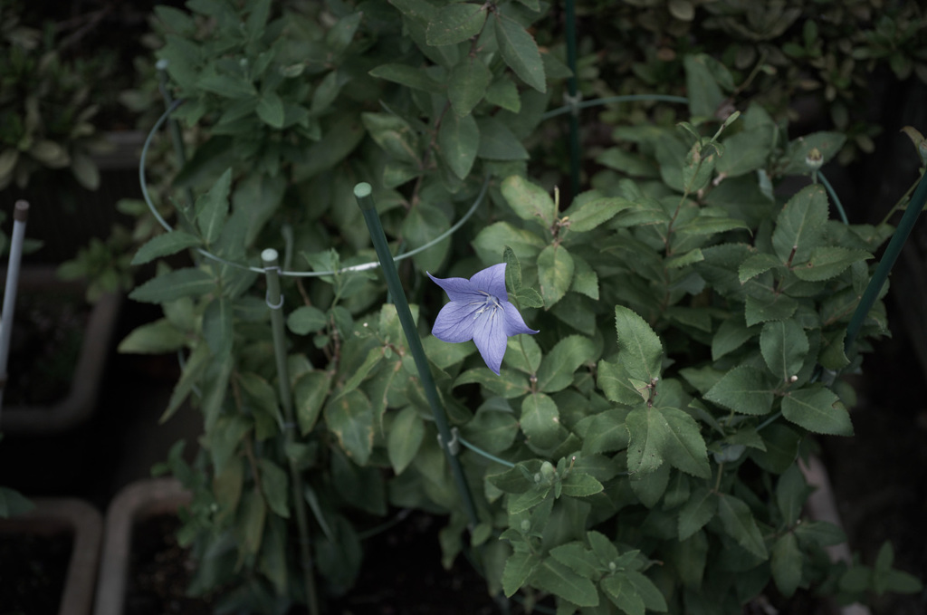 R0011688