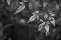 DSC00191