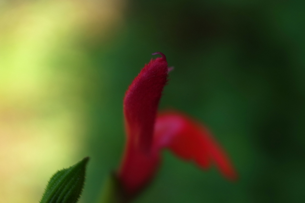 R0011738