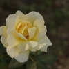 DSC00458