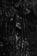 R0012632