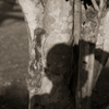 IMG-1051657