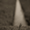 IMG-1052041