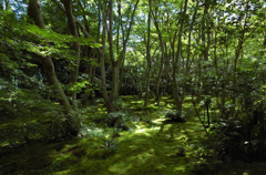 祇王寺