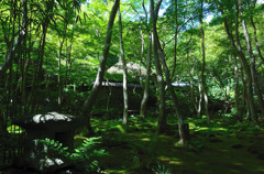 祇王寺２