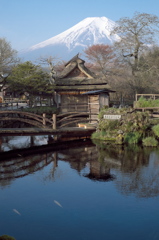 富嶽よ永遠に～絵葉書みたいに忍野