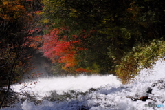 紅葉を求めて湯滝