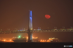 横浜の赤い月