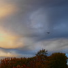 初冬の雲