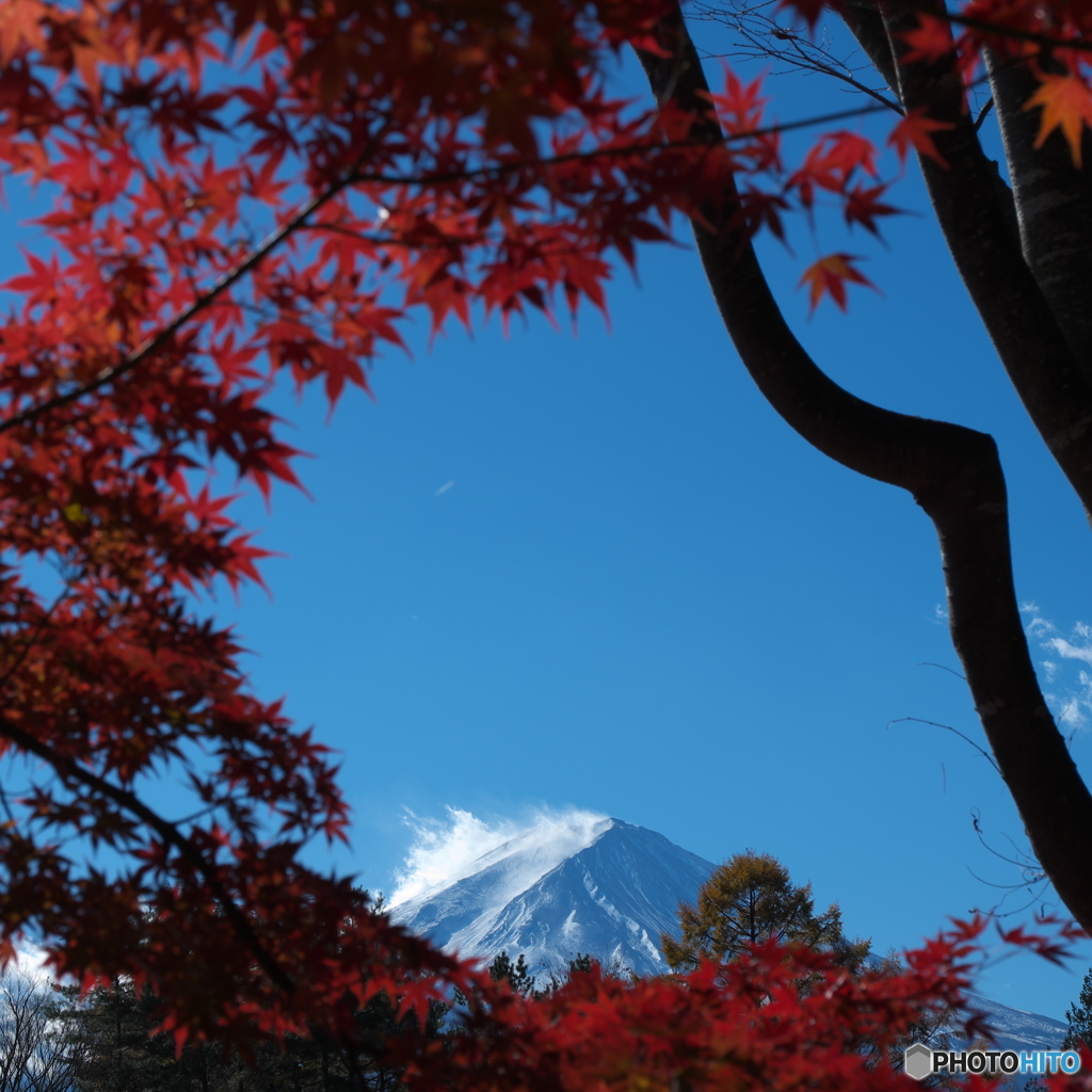 富嶽よ永遠に～紅葉に囲まれて