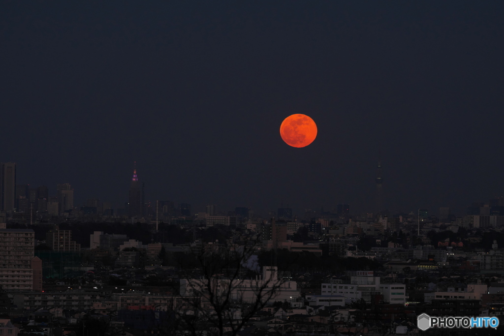 東京の赤い月