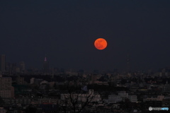 東京の赤い月