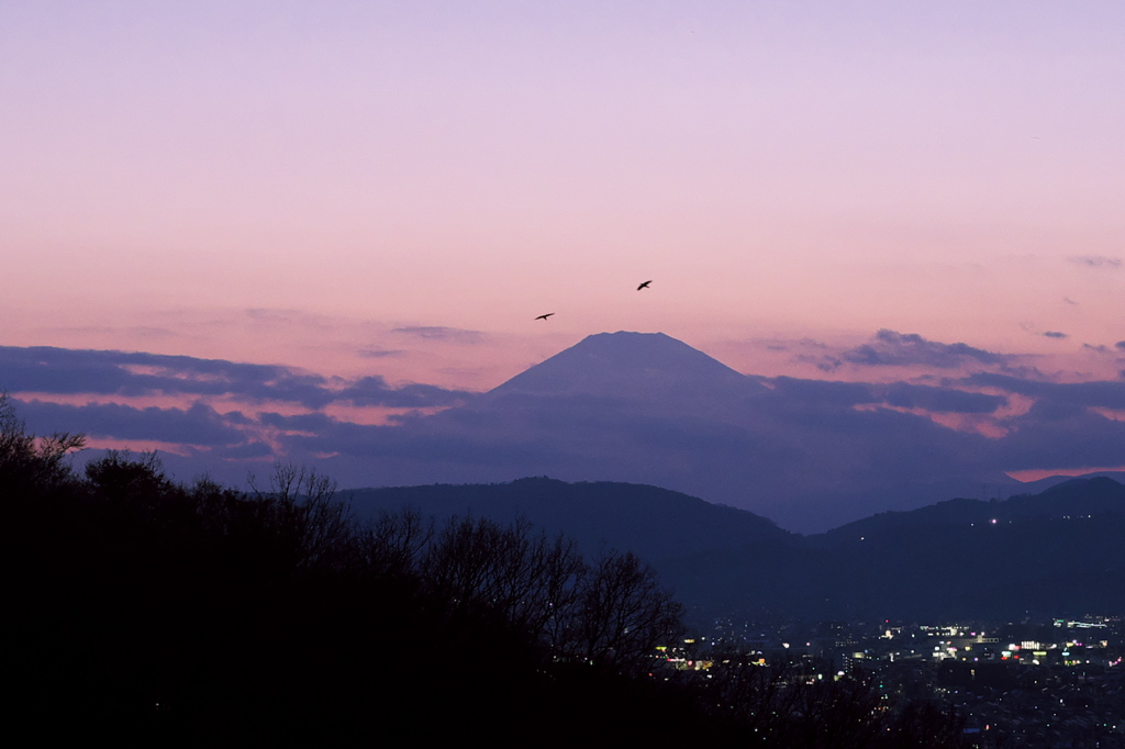 富嶽よ永遠に～権現山からの夕景