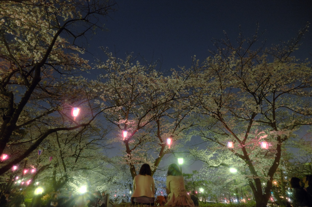 飛鳥山の夜に語らう