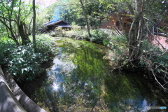 岩魚を焼く嘉門次小屋の煙