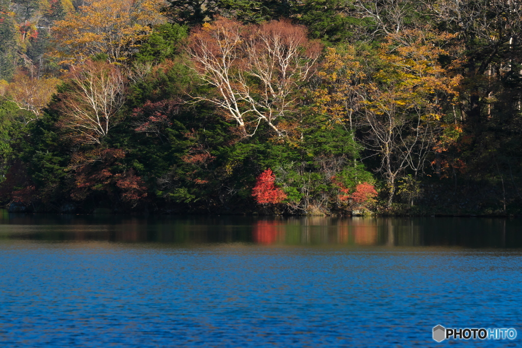 ちょっとの紅　湯ノ湖