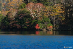 ちょっとの紅　湯ノ湖