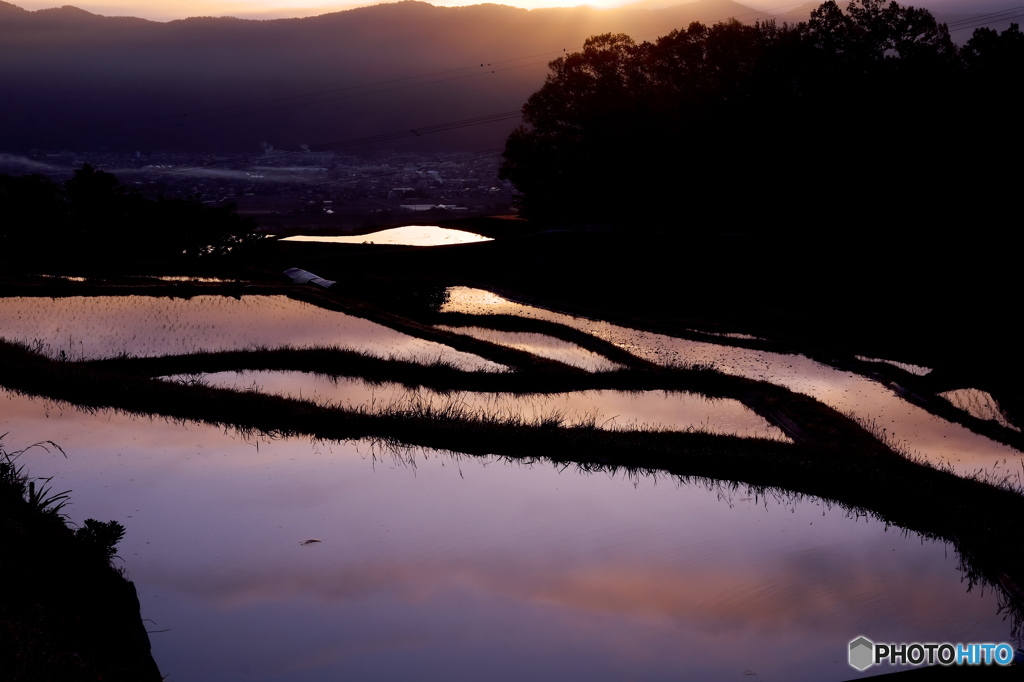 田植えの日の出