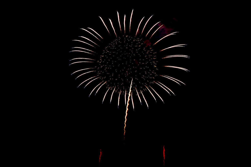 夜に光るひまわり