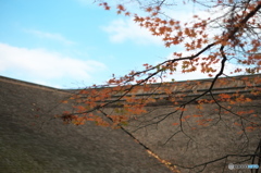 里山のお寺にて