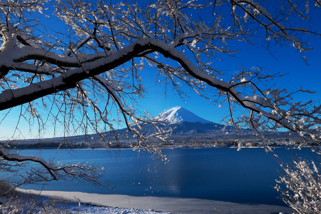 富嶽よ永遠に～朝日が雪を落とす