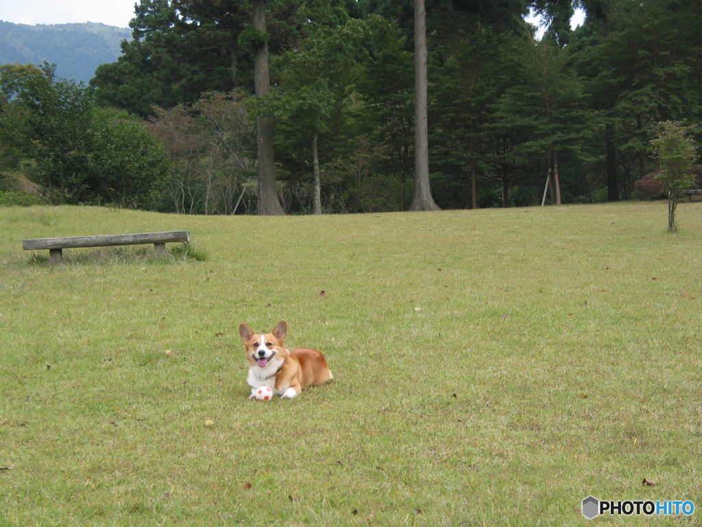 誰もいない公園で